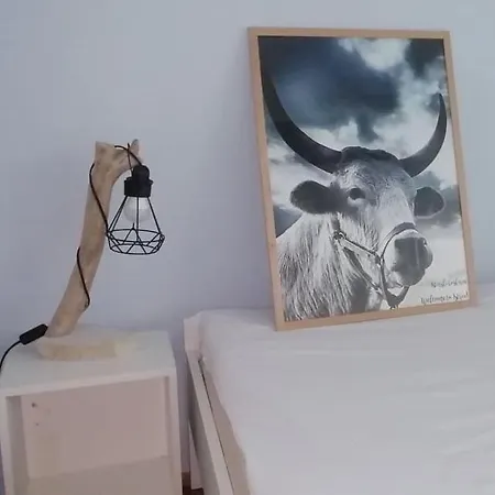 Mystra Apartamento *